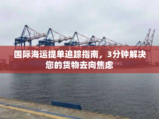 国际海运提单追踪指南，3分钟解决您的货物去向焦虑