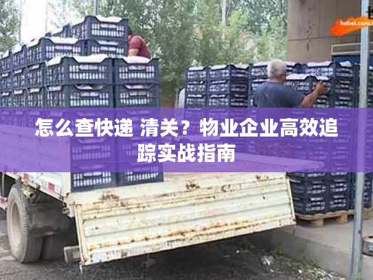 怎么查快递 清关？物业企业高效追踪实战指南