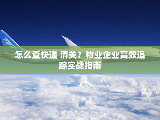 怎么查快递 清关？物业企业高效追踪实战指南