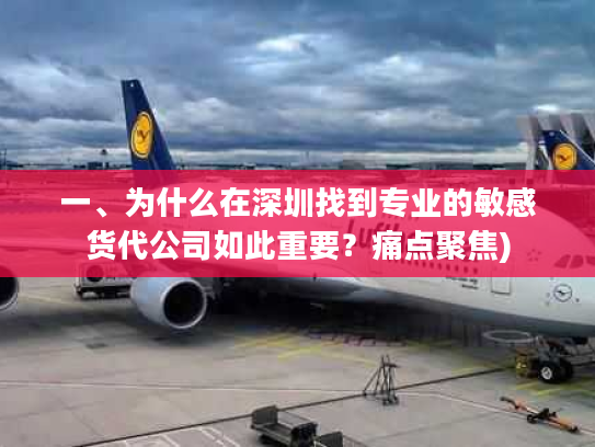 一、为什么在深圳找到专业的敏感货代公司如此重要？痛点聚焦)