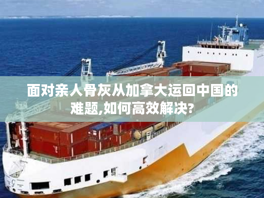 面对亲人骨灰从加拿大运回中国的难题,如何高效解决?