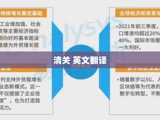 清关 英文翻译