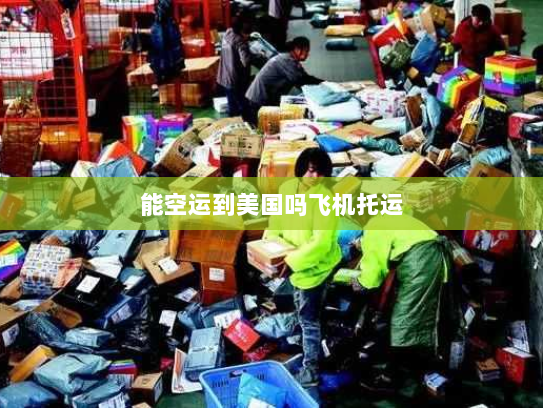 能空运到美国吗飞机托运 能空运到美国吗飞机托运