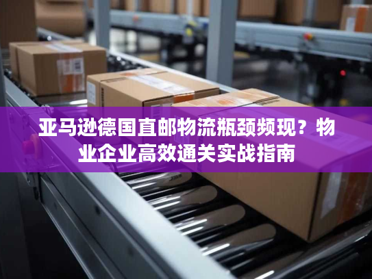 亚马逊德国直邮物流瓶颈频现?物业企业高效通关实战指南 亚马逊德国直邮物流瓶颈频现?物业企业高效通关实战指南