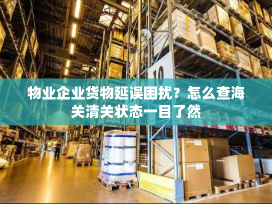 物业企业货物延误困扰？怎么查海关清关状态一目了然