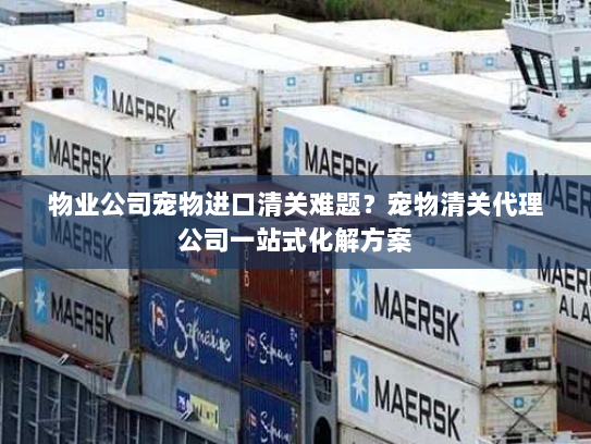 物业公司宠物进口清关难题？宠物清关代理公司一站式化解方案