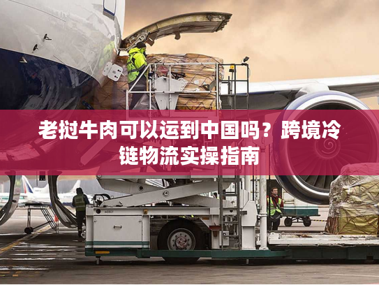 老挝牛肉可以运到中国吗？跨境冷链物流实操指南