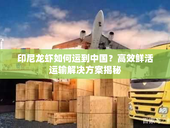 印尼龙虾如何运到中国？高效鲜活运输解决方案揭秘