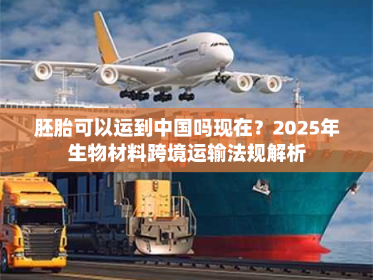 胚胎可以运到中国吗现在？2025年生物材料跨境运输法规解析