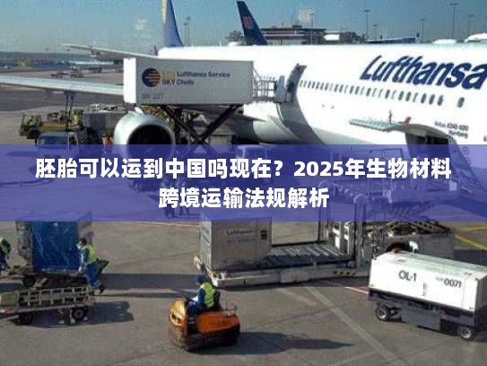 胚胎可以运到中国吗现在?2025年生物材料跨境运输法规解析 胚胎可以运到中国吗现在?2025年生物材料跨境运输法规解析