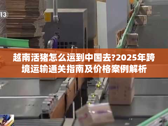 越南活猪怎么运到中国去?2025年跨境运输通关指南及价格案例解析 越南活猪怎么运到中国去?2025年跨境运输通关指南及价格案例解析