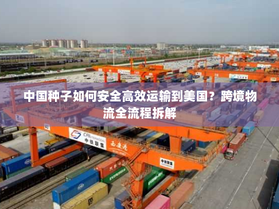 中国种子如何安全高效运输到美国?跨境物流全流程拆解 中国种子如何安全高效运输到美国?跨境物流全流程拆解