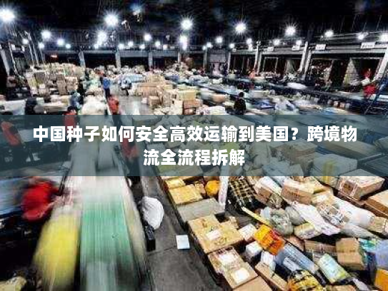 中国种子如何安全高效运输到美国?跨境物流全流程拆解 中国种子如何安全高效运输到美国?跨境物流全流程拆解