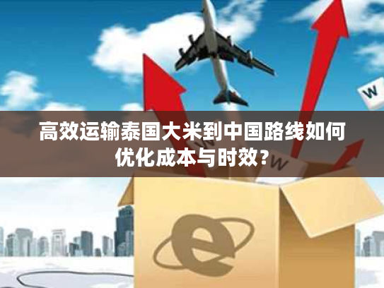 高效运输泰国大米到中国路线如何优化成本与时效？