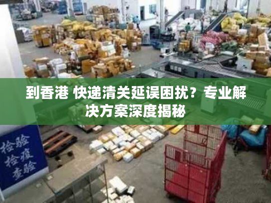到香港 快递清关延误困扰？专业解决方案深度揭秘