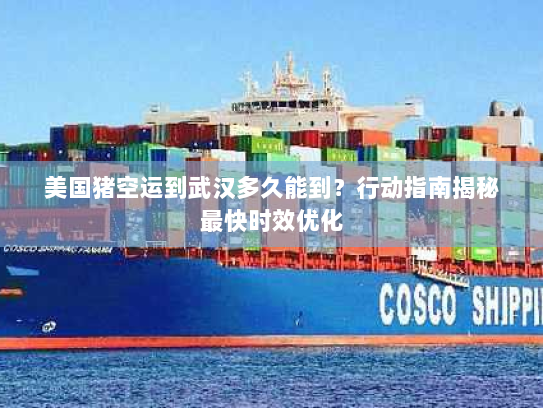 美国猪空运到武汉多久能到?行动指南揭秘最快时效优化 美国猪空运到武汉多久能到?行动指南揭秘最快时效优化