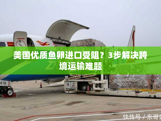 美国优质鱼卵进口受阻？3步解决跨境运输难题