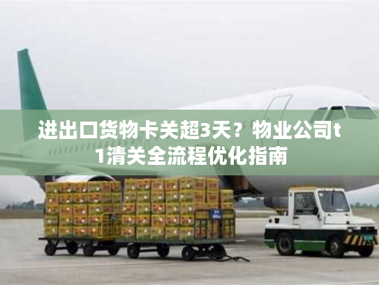 进出口货物卡关超3天？物业公司t1清关全流程优化指南