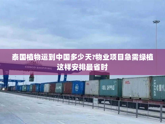 泰国植物运到中国多少天?物业项目急需绿植这样安排最省时 泰国植物运到中国多少天?物业项目急需绿植这样安排最省时