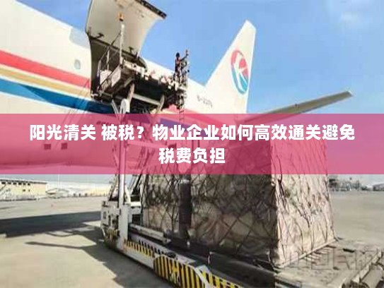 阳光清关 被税？物业企业如何高效通关避免税费负担