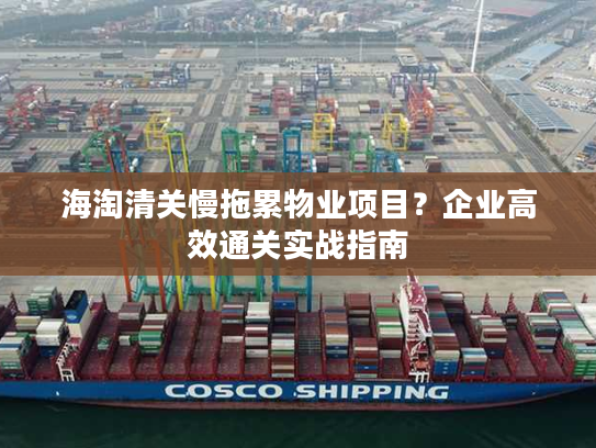 海淘清关慢拖累物业项目？企业高效通关实战指南