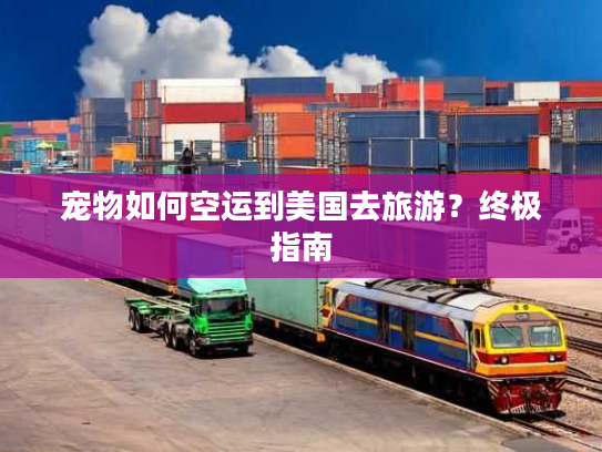 宠物如何空运到美国去旅游？终极指南