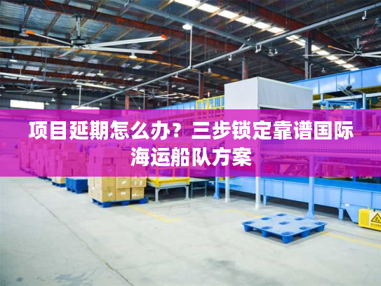 项目延期怎么办?三步锁定靠谱国际海运船队方案 项目延期怎么办?三步锁定靠谱国际海运船队方案