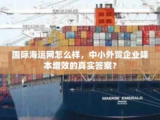 国际海运网怎么样，中小外贸企业降本增效的真实答案？