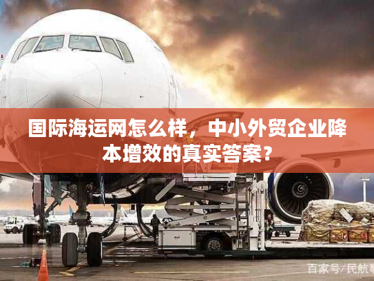 国际海运网怎么样，中小外贸企业降本增效的真实答案？