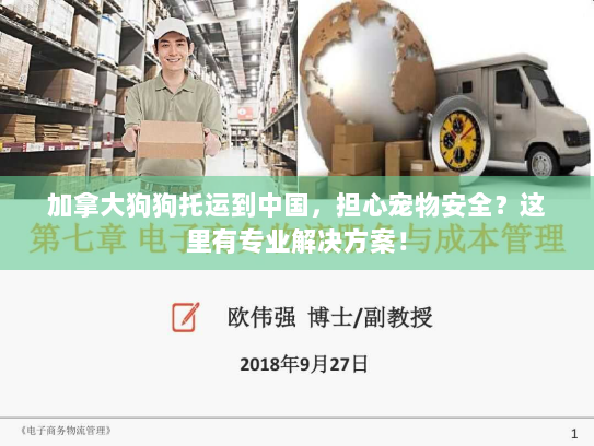 加拿大狗狗托运到中国,担心宠物安全?这里有专业解决方案! 加拿大狗狗托运到中国,担心宠物安全?这里有专业解决方案!