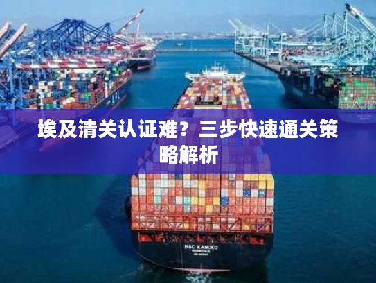 埃及清关认证难?三步快速通关策略解析 埃及清关认证难?三步快速通关策略解析