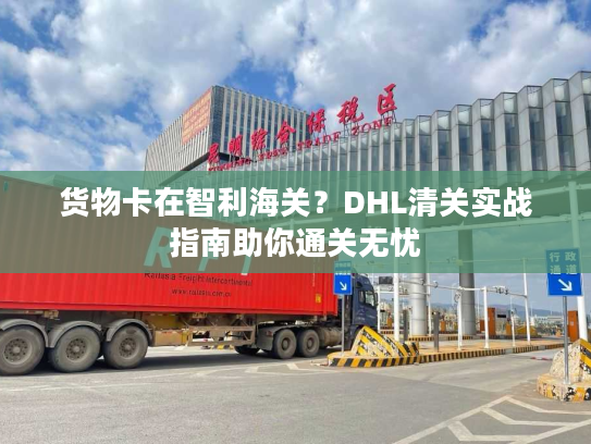 货物卡在智利海关？DHL清关实战指南助你通关无忧