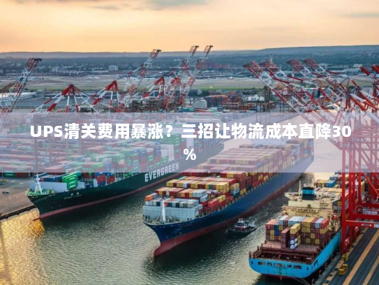 UPS清关费用暴涨？三招让物流成本直降30%