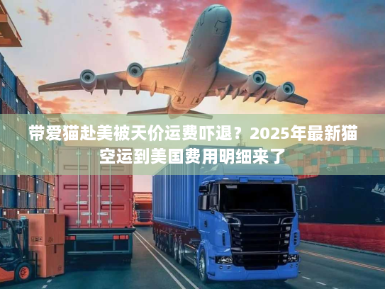 带爱猫赴美被天价运费吓退？2025年最新猫空运到美国费用明细来了
