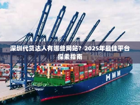 深圳代货达人有哪些网站？2025年最佳平台探索指南