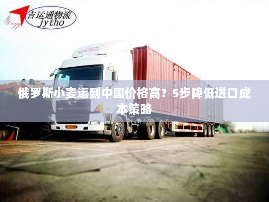 俄罗斯小麦运到中国价格高?5步降低进口成本策略 俄罗斯小麦运到中国价格高?5步降低进口成本策略