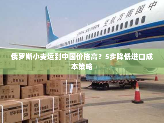 俄罗斯小麦运到中国价格高?5步降低进口成本策略 俄罗斯小麦运到中国价格高?5步降低进口成本策略