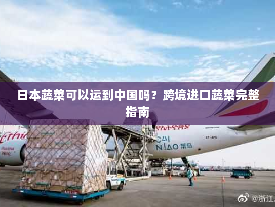 日本蔬菜可以运到中国吗?跨境进口蔬菜完整指南 日本蔬菜可以运到中国吗?跨境进口蔬菜完整指南