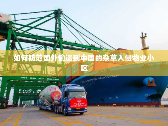 如何防范国外偷运到中国的杂草入侵物业小区 如何防范国外偷运到中国的杂草入侵物业小区