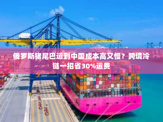 俄罗斯猪尾巴运到中国成本高又慢？跨境冷链一招省30%运费