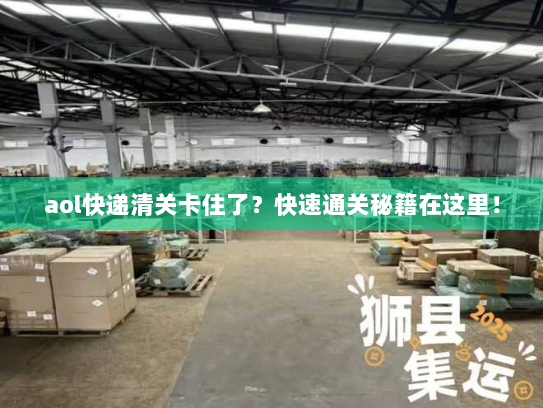 aol快递清关卡住了？快速通关秘籍在这里！