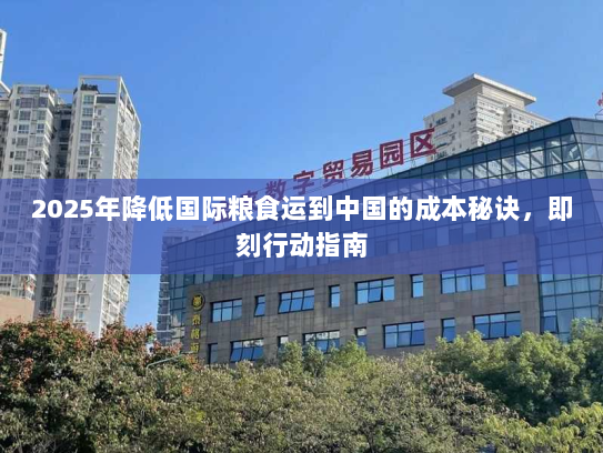 2025年降低国际粮食运到中国的成本秘诀，即刻行动指南
