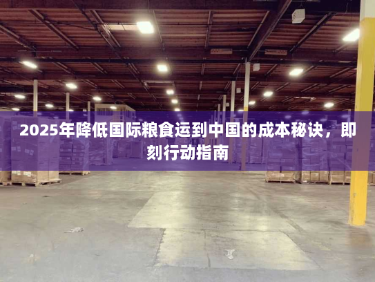 2025年降低国际粮食运到中国的成本秘诀，即刻行动指南
