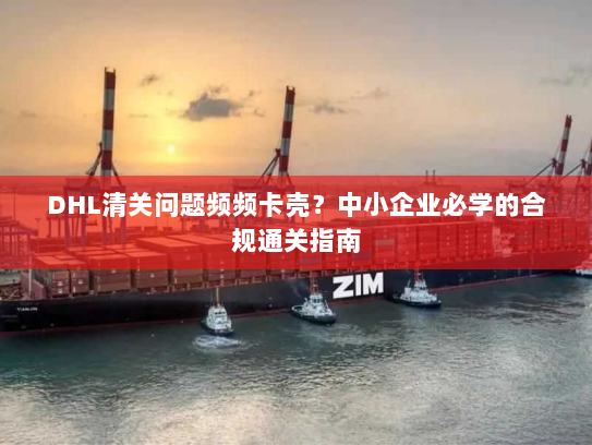 DHL清关问题频频卡壳?中小企业必学的合规通关指南 DHL清关问题频频卡壳?中小企业必学的合规通关指南