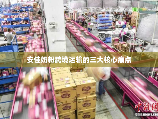 安佳奶粉跨境运输的三大核心痛点 安佳奶粉跨境运输的三大核心痛点