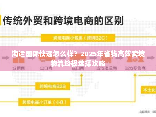 海运国际快递怎么样？2025年省钱高效跨境物流终极选择攻略
