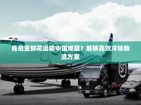 肯尼亚鲜花运输中国难题？解锁高效冷链物流方案