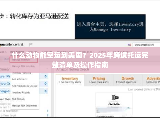什么动物能空运到美国?2025年跨境托运完整清单及操作指南 什么动物能空运到美国?2025年跨境托运完整清单及操作指南