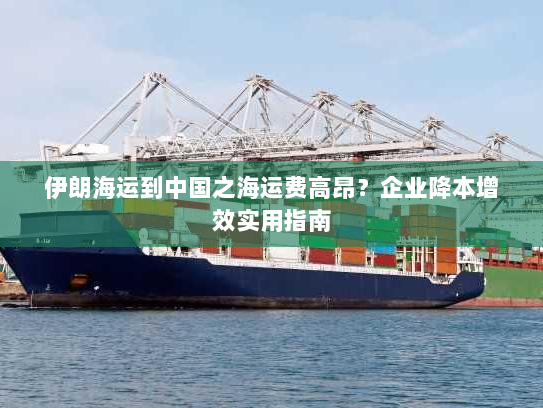 伊朗海运到中国之海运费高昂?企业降本增效实用指南 伊朗海运到中国之海运费高昂?企业降本增效实用指南