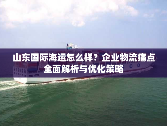 山东国际海运怎么样？企业物流痛点全面解析与优化策略